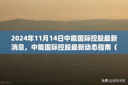 中能国际控股最新动态指南（初学者与进阶用户必备资讯，2024年11月版）