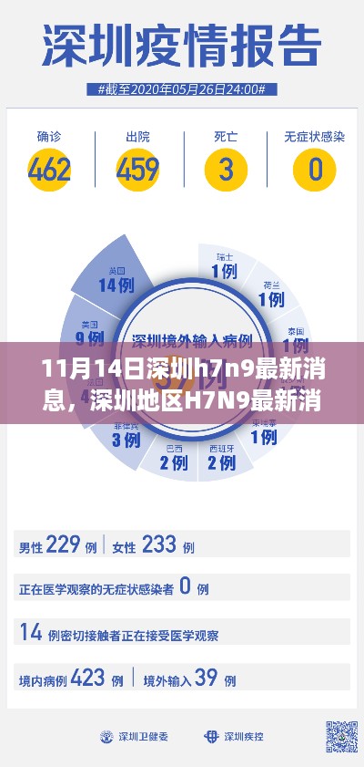 深圳H7N9最新消息评测，特性、体验与竞品对比（11月14日更新）