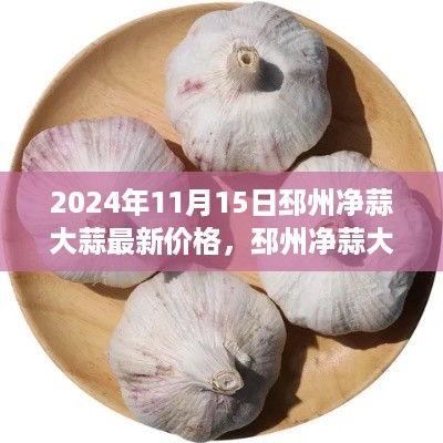 2024年邳州净蒜大蒜最新价格及市场趋势分析