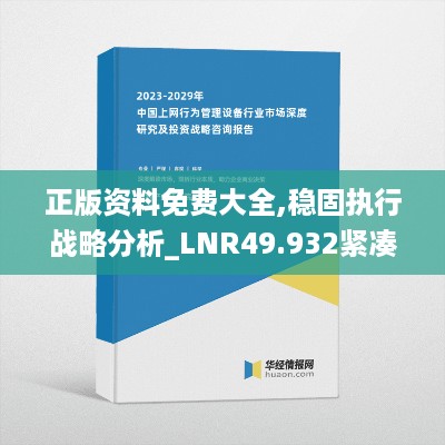 正版资料免费大全,稳固执行战略分析_LNR49.932紧凑版