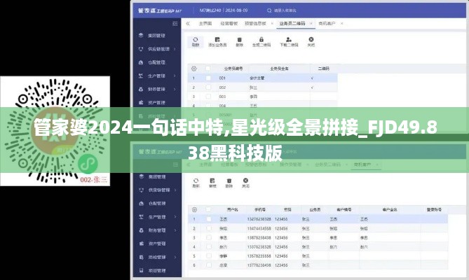 管家婆2024一句话中特,星光级全景拼接_FJD49.838黑科技版