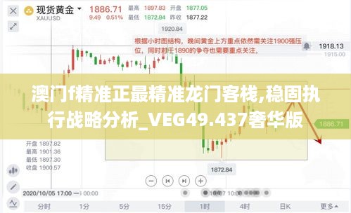 澳门f精准正最精准龙门客栈,稳固执行战略分析_VEG49.437奢华版