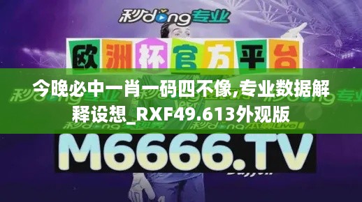 今晚必中一肖一码四不像,专业数据解释设想_RXF49.613外观版