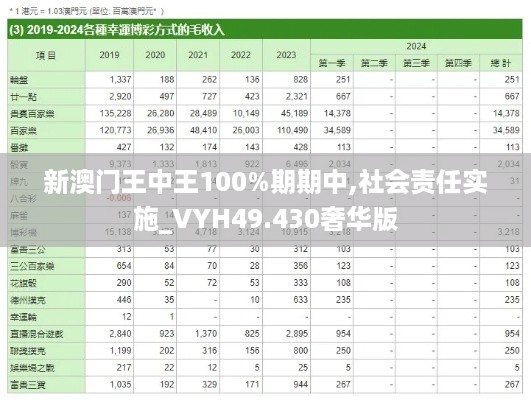 新澳门王中王100%期期中,社会责任实施_VYH49.430奢华版