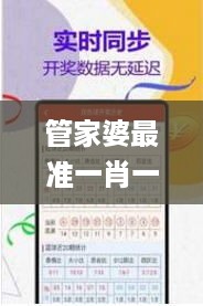 管家婆最准一肖一特,全面实施策略设计_VUT49.225便签版