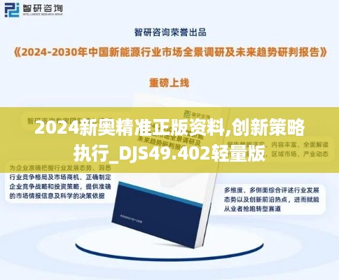 2024新奥精准正版资料,创新策略执行_DJS49.402轻量版