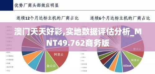 澳门天天好彩,实地数据评估分析_MNT49.762商务版