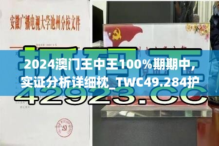 2024澳门王中王100%期期中,实证分析详细枕_TWC49.284护眼版