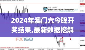 2024年澳门六今晚开奖结果,最新数据挖解释明_LFM49.733仿真版