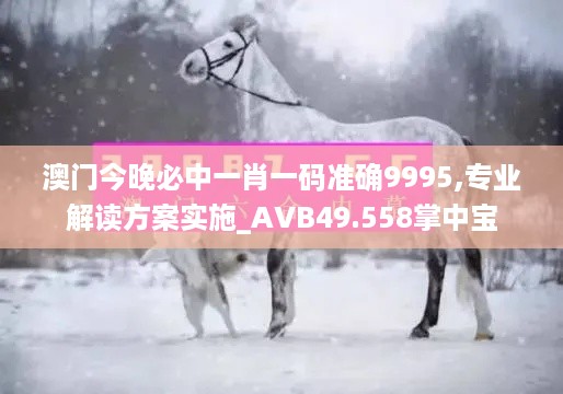 澳门今晚必中一肖一码准确9995,专业解读方案实施_AVB49.558掌中宝