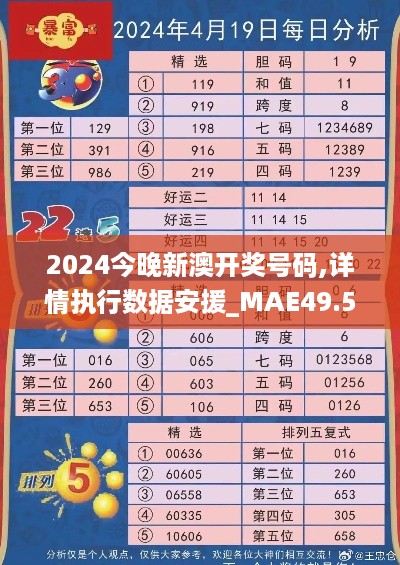 2024今晚新澳开奖号码,详情执行数据安援_MAE49.580和谐版