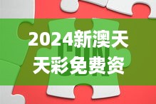 2024新澳天天彩免费资料,快速实施解答研究_REA49.670品牌版