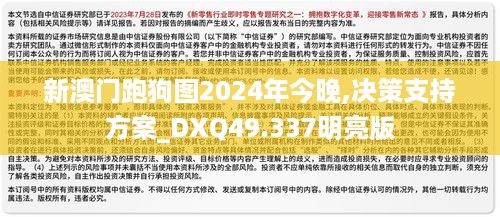 新澳门跑狗图2024年今晚,决策支持方案_DXQ49.337明亮版