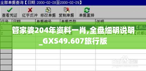 管家婆204年资料一肖,全盘细明说明_GXS49.607旅行版