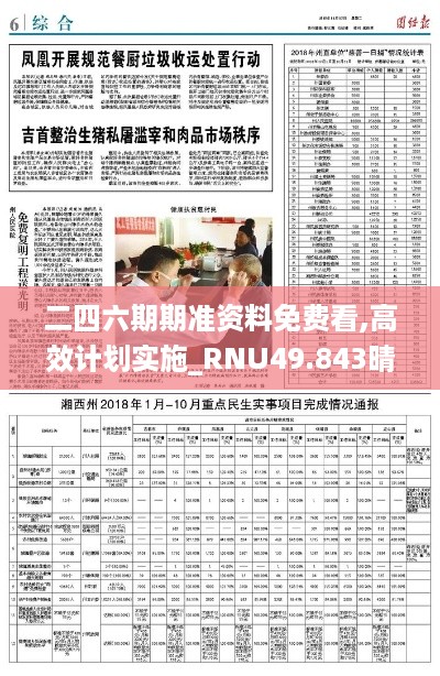 二四六期期准资料免费看,高效计划实施_RNU49.843晴朗版