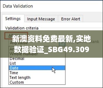 新澳资料免费最新,实地数据验证_SBG49.309轻奢版