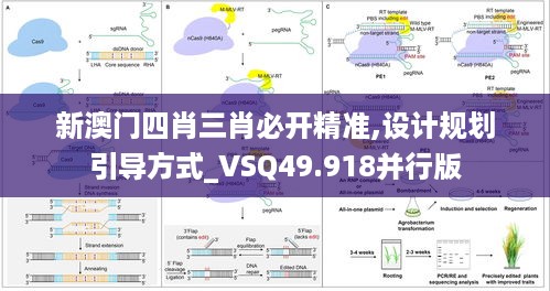 新澳门四肖三肖必开精准,设计规划引导方式_VSQ49.918并行版