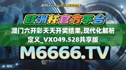 澳门六开彩天天开奖结果,现代化解析定义_VXO49.528共享版