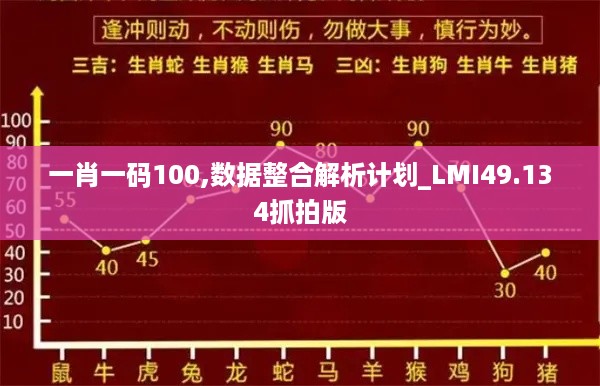 一肖一码100,数据整合解析计划_LMI49.134抓拍版