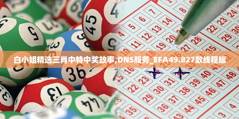 白小姐精选三肖中特中奖故事,DNS服务_EFA49.827数线程版