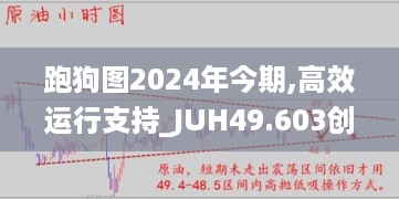 跑狗图2024年今期,高效运行支持_JUH49.603创造力版