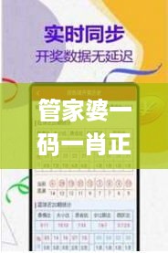 管家婆一码一肖正确,全盘细明说明_GRV49.338时空版