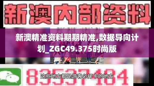 新澳精准资料期期精准,数据导向计划_ZGC49.375时尚版