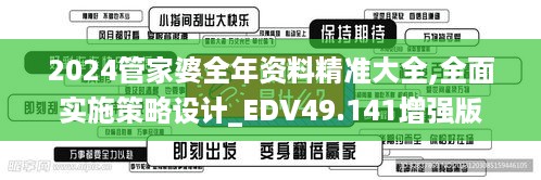 2024管家婆全年资料精准大全,全面实施策略设计_EDV49.141增强版