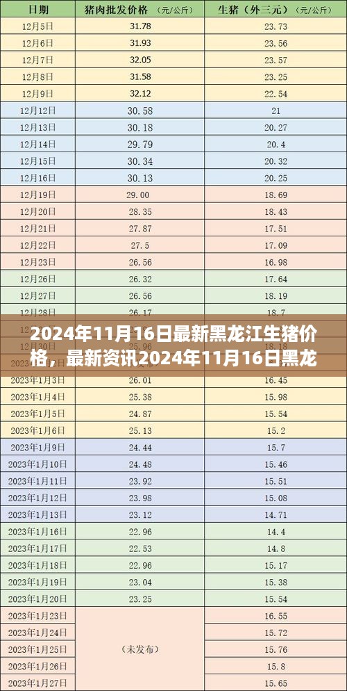 2024年11月16日黑龙江生猪价格走势及分析，最新资讯与预测