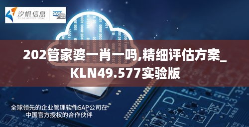 202管家婆一肖一吗,精细评估方案_KLN49.577实验版