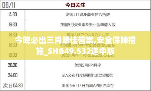 今晚必出三肖最佳答案,安全保障措施_SHG49.532适中版