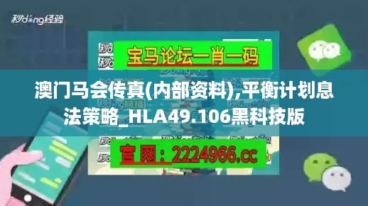 澳门马会传真(内部资料),平衡计划息法策略_HLA49.106黑科技版