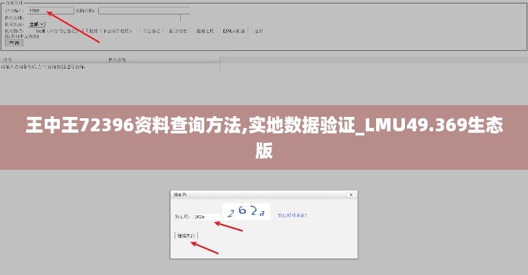 王中王72396资料查询方法,实地数据验证_LMU49.369生态版