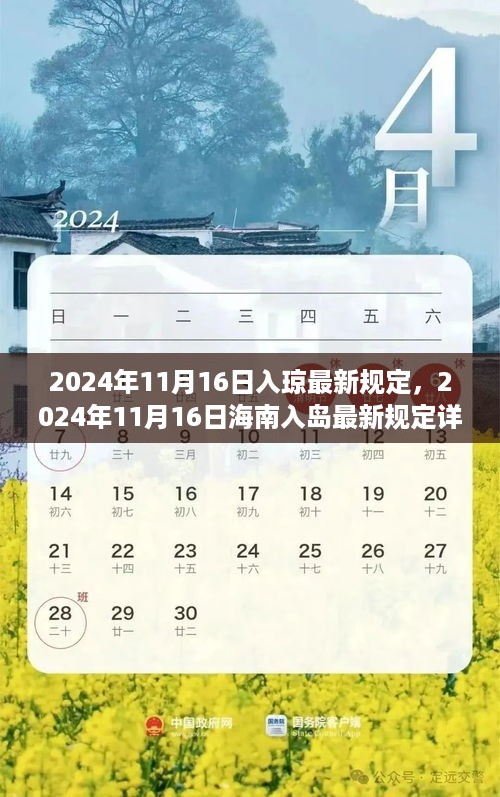 2024年11月16日 第75页