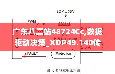 广东八二站48724Cc,数据驱动决策_XDP49.140传达版