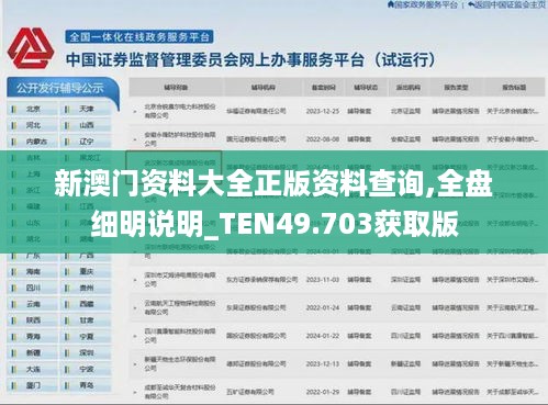 新澳门资料大全正版资料查询,全盘细明说明_TEN49.703获取版