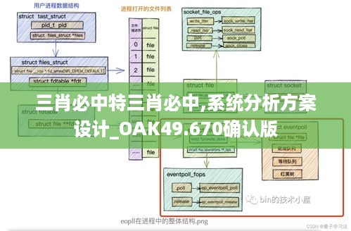 三肖必中特三肖必中,系统分析方案设计_OAK49.670确认版