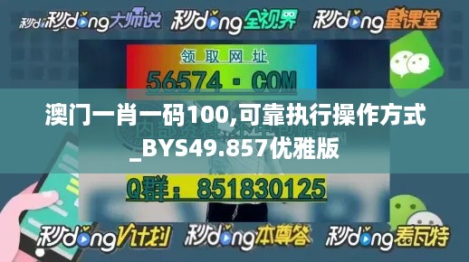 澳门一肖一码100,可靠执行操作方式_BYS49.857优雅版