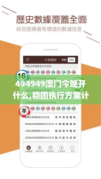 494949澳门今晚开什么,稳固执行方案计划_YFE49.877迅捷版