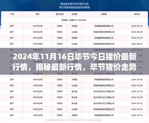 2024年11月16日 第65页