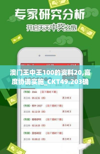 澳门王中王100的资料20,高度协调实施_CKT49.203确认版