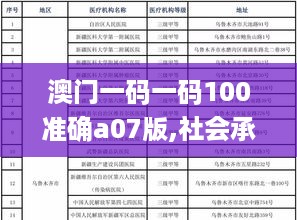 澳门一码一码100准确a07版,社会承担实践战略_HWU49.309社区版