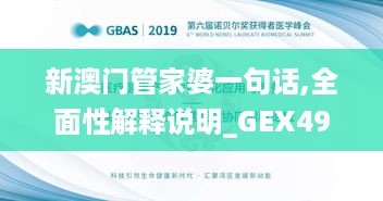 新澳门管家婆一句话,全面性解释说明_GEX49.234先锋版