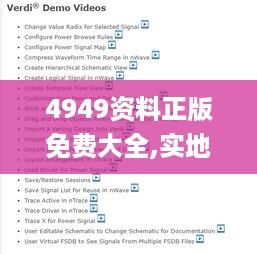 4949资料正版免费大全,实地验证策略具体_DDI49.451内容版