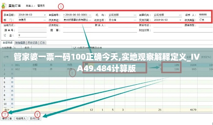 管家婆一票一码100正确今天,实地观察解释定义_IVA49.484计算版