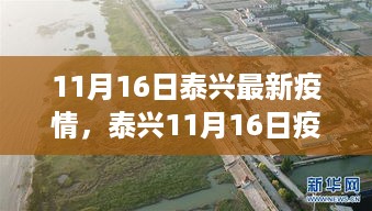 泰兴疫情下的自然之旅，一抹绿意带来的治愈力量（11月16日最新疫情）