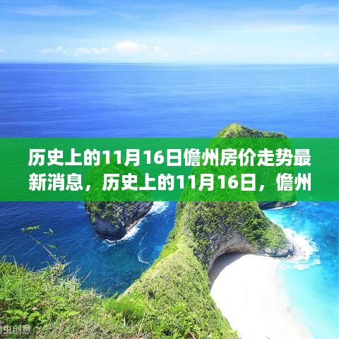 历史上的11月16日深度解析，儋州房价走势及最新消息