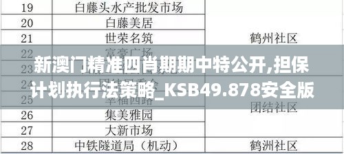 新澳门精准四肖期期中特公开,担保计划执行法策略_KSB49.878安全版