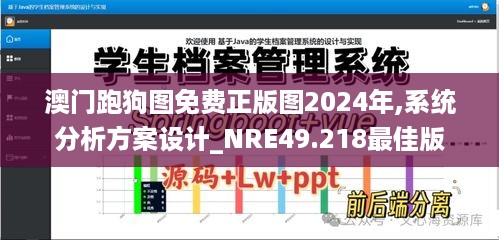 澳门跑狗图免费正版图2024年,系统分析方案设计_NRE49.218最佳版