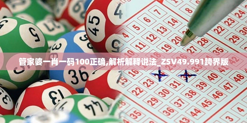 管家婆一肖一码100正确,解析解释说法_ZSV49.991跨界版